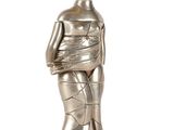 Photo 1/1 du lot