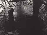une image représentant un dessin en noir et blanc d'un oiseau dans un nid