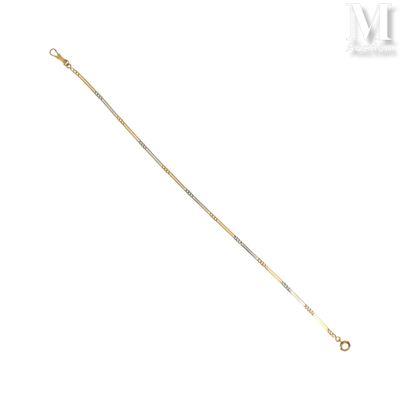 Chaîne giletière Chaîne giletière aux deux tons d'or 18K (75…