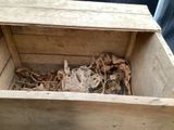 a wooden box that has a bunch of leaves inside of it