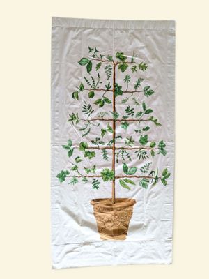 une image représentant une serviette sur laquelle est posée une plante en pot