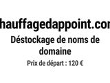 Photo 1/1 du lot