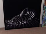 a picture of a cat laying on the floor next to a picture of a zebra