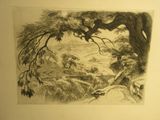 une image représentant un dessin de paysage avec des arbres et une rivière