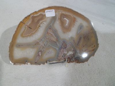 a picture of a piece of rock with a tag on it