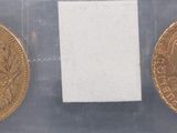 a close up of two gold coins in a plastic bag