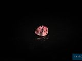 un diamant rose sur une surface noire