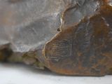 a close up view of a rock with a stone carving on it