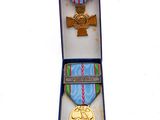 une médaille dans une boîte, entourée d'un ruban