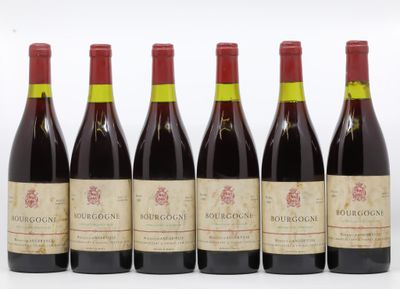 six bouteilles de vin sont alignées sur une surface blanche