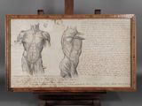 une image représentant le dessin du torse d'un homme posé sur un chevalet en bois