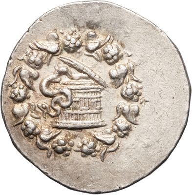 a close up of a silver coin with a birdcage on it