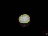 an oplite in the dark with a black background