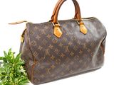 a louis vuitton handbag with a plant in the background