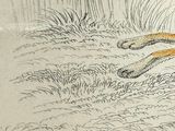 drawing of a squirrel sitting on the ground in the grass