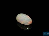 an oplite in the dark with a black background