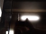a person taking a picture of a reflection of a cat in a mirror