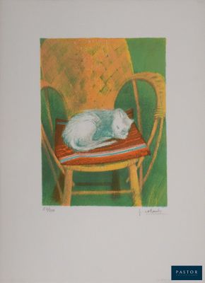 a picture of a cat that is laying on a chair