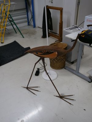 a bird that is standing on the floor in the room