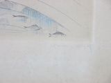 sketches of fish swimming under a bridge on a cloudy day