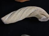 a piece of bread that is sitting on a table
