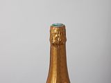 bottle of champagne on a table with a white background