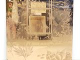 la photo d'une photo représentant une femme dans une vitrine