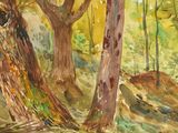 a watercolor painting of some trees in the woods