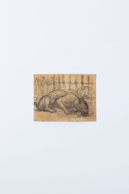 une image représentant un dessin d'un chien couché par terre