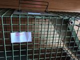 a cat in a cage on the shelf of a store