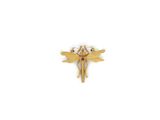 a gold insect pin with a red stone in the middle of it