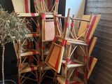 beaucoup de chaises et une plante en pot dans un coin de la pièce