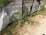 someone is taking a picture of the grass growing on the concrete wall