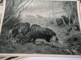 a picture of a painting of a bull in the woods