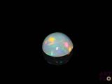 an oplite in the dark with a black background