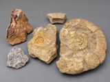 a close up of a rock and some rocks on a table