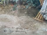a painting of a cat sitting on a bench in a garden