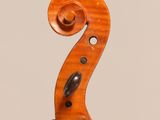 a close up of the back of a violin with a fiddle in the foreground