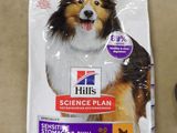 hill ' s science plan adult small breed dry dog food