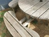 a wooden table and two benches in the yard