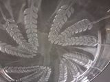 a glass plate with a design of wheat on it