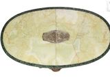 a picture of a marble bowl on a table