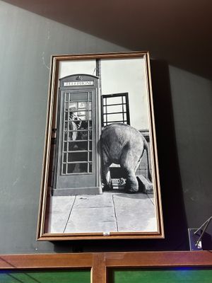 a picture of an elephant that is standing in front of a phone booth
