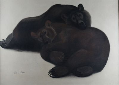 deux ours couchés ensemble par terre
