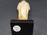 a small black box with a piece of bread on it