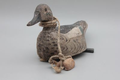 un canard assis par terre, avec une corde autour du cou