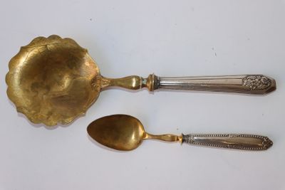 deux cuillères et une cuillère reposent sur une surface blanche