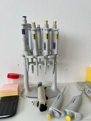 un grand nombre d'outils posés sur une table