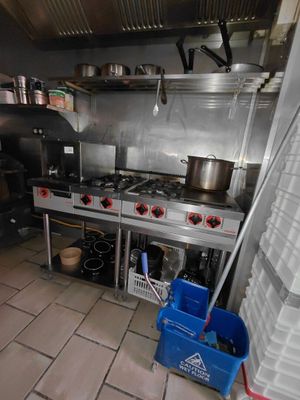 Deux pianos de cuisson en inox MORICE, l'un avec trois feux au gaz et  - Photo 1