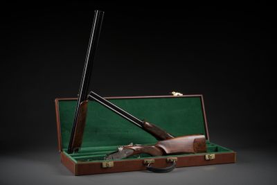 un fusil et un fusil de chasse dans un étui, sur fond noir